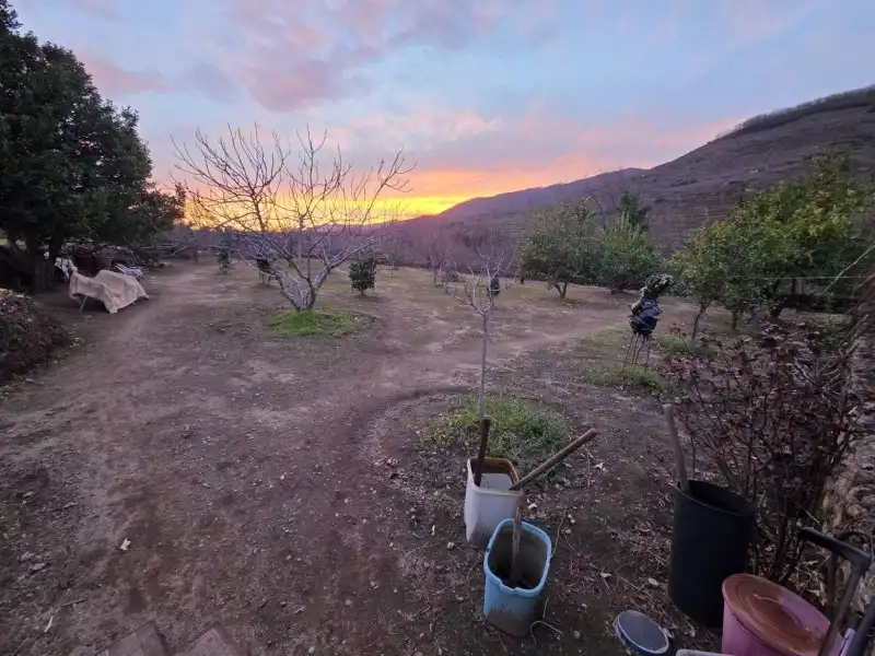Garden of Houses for sale in Plasencia  with Heating and Storage room