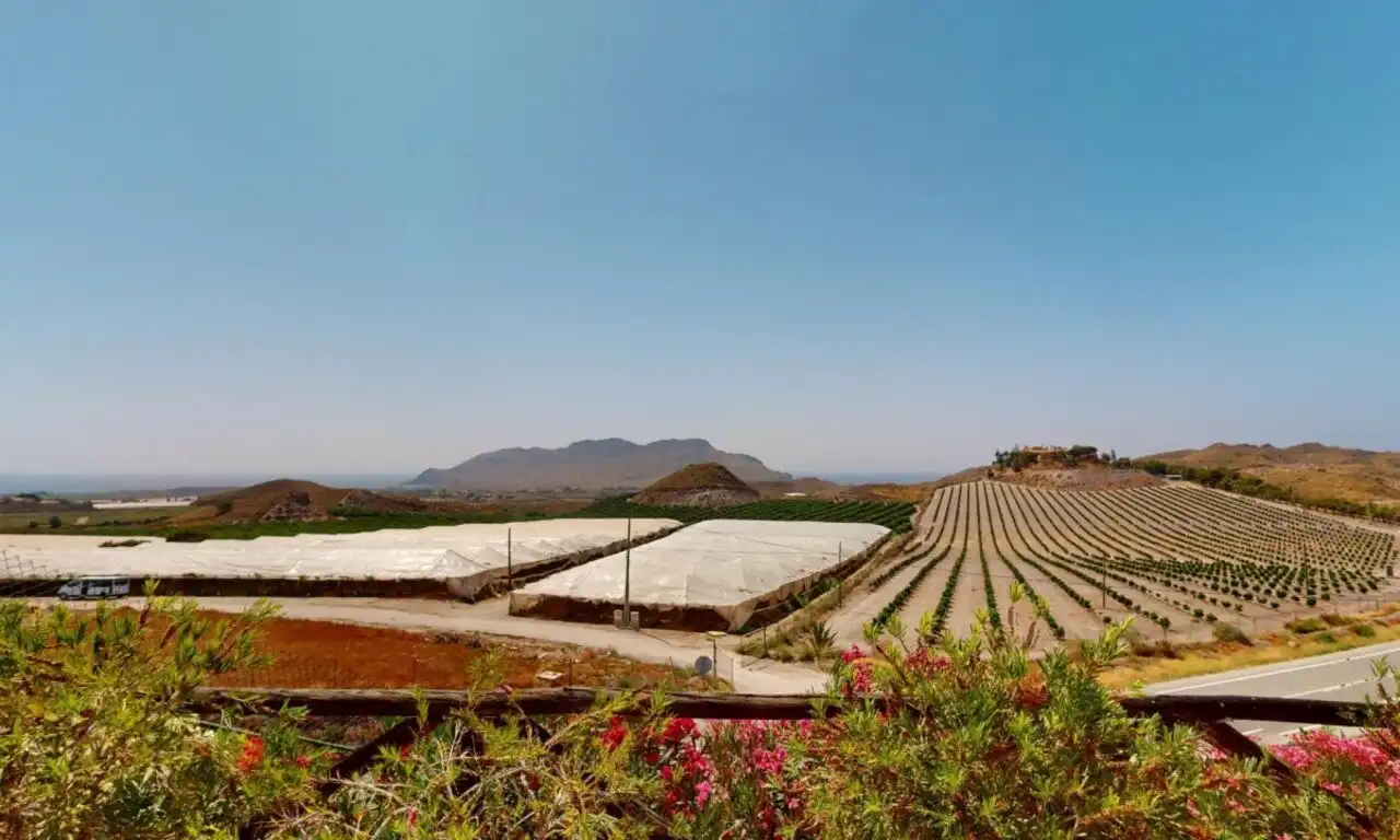Garden of Country homes for sale in Lorca