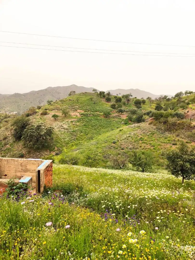 Residential zum Verkauf in Alegría de la Huerta- Jardín de Málaga