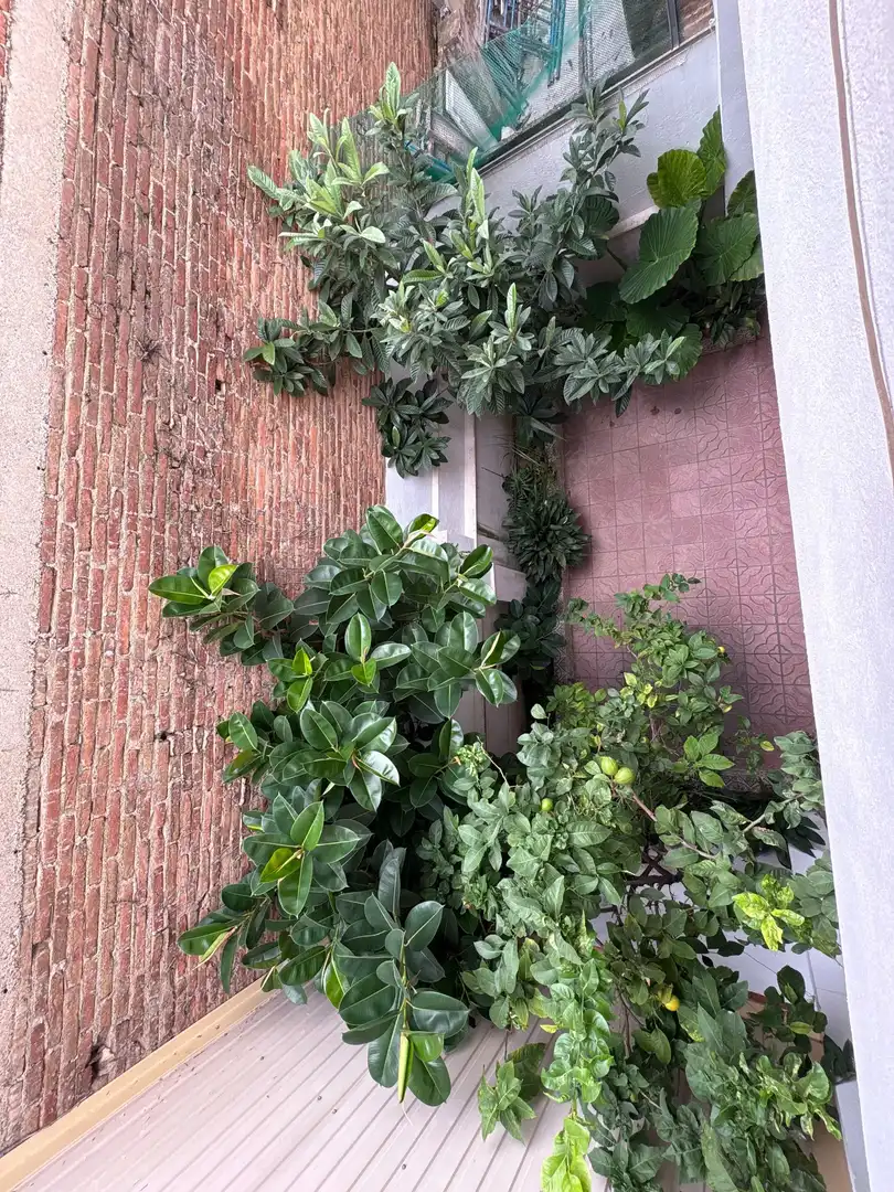 Terrassa de Casa o xalet en venda en Artigues - Llefià