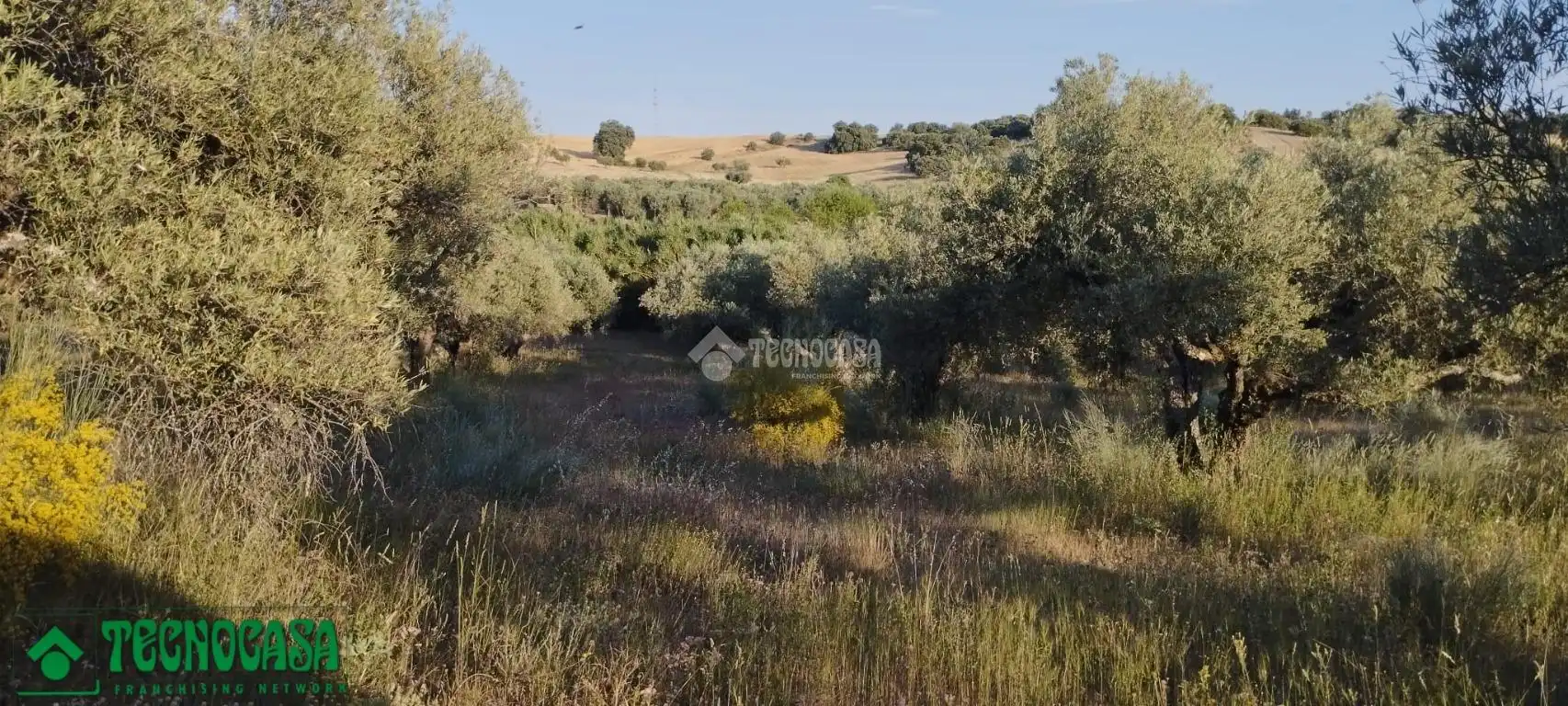 Terreni e lotti in vendita a Méntrida, imagen 18
