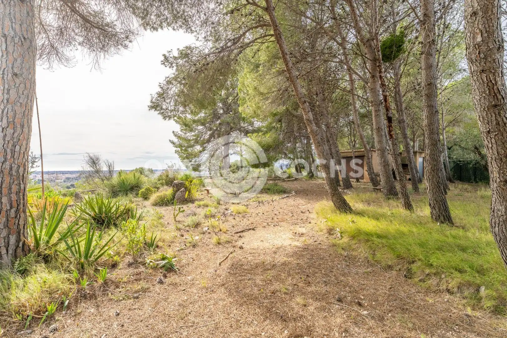 Terreny residencial en venda a Carrer dels Pugets, imagen 8