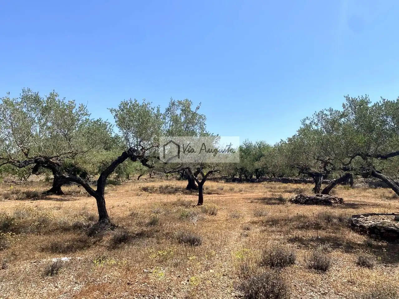 Terreno rustico in vendita a Bordes, imagen 14