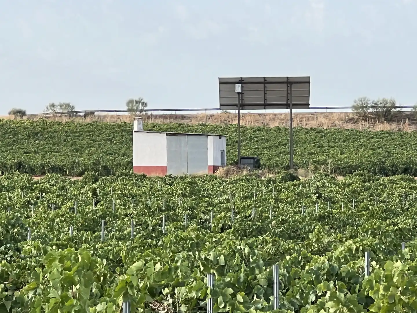Terrenys i solars en venda a Villafranca de los Caballeros