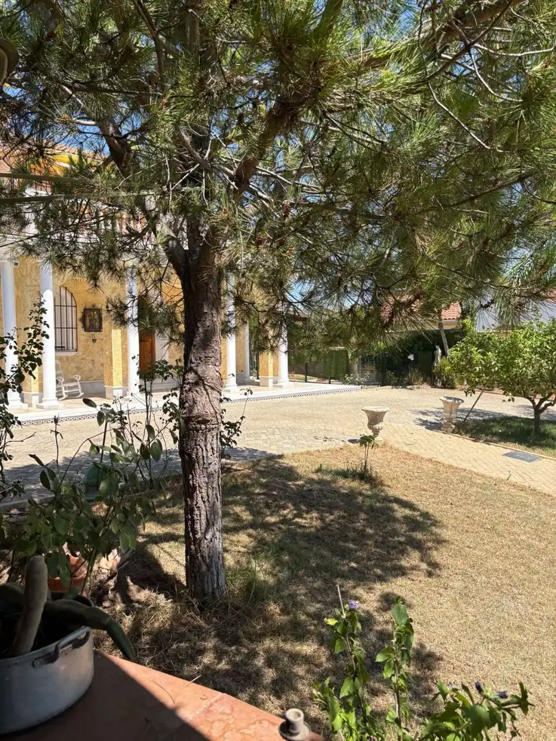 Villa mit Pool zum Verkauf in CL ARRAYAN, imagen 4