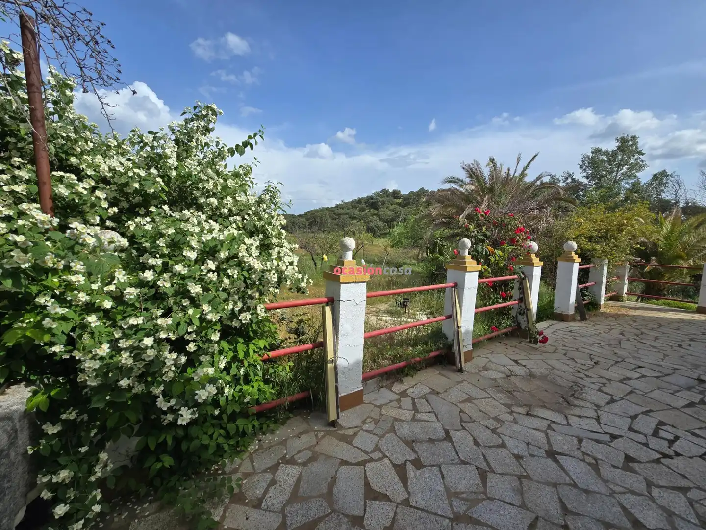 Jardí de Casa o xalet en venda en Alcaracejos