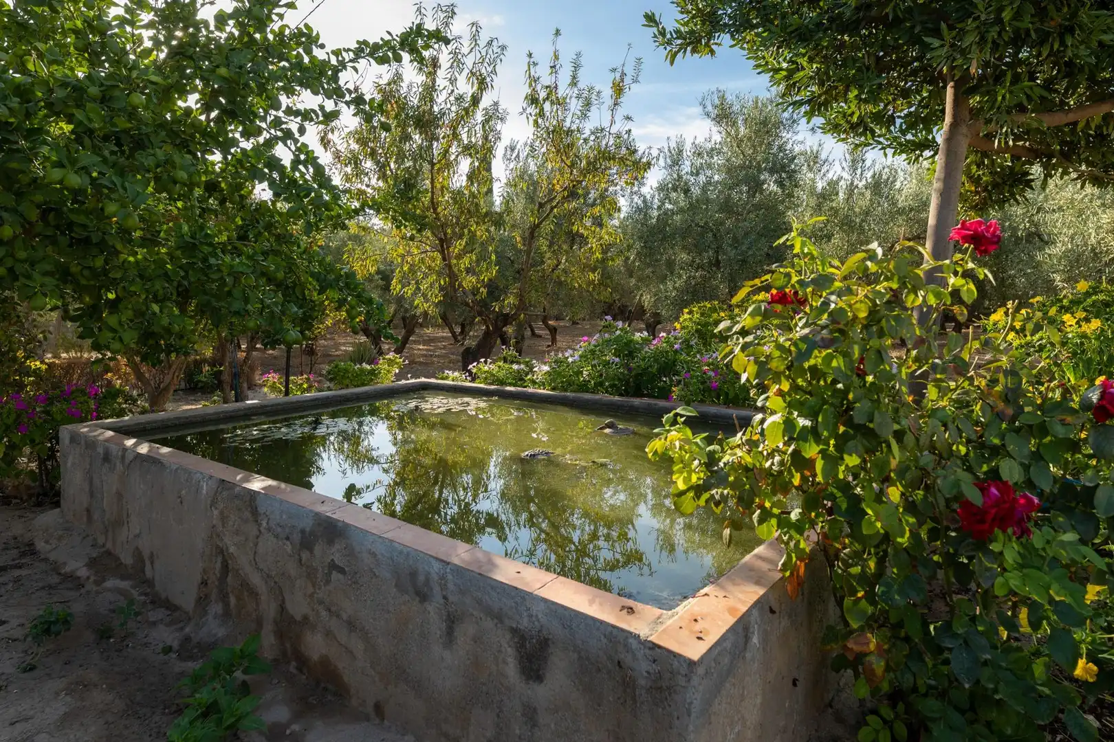 Casa rústica amb piscina en venda a Moraleda de Zafayona, imagen 14