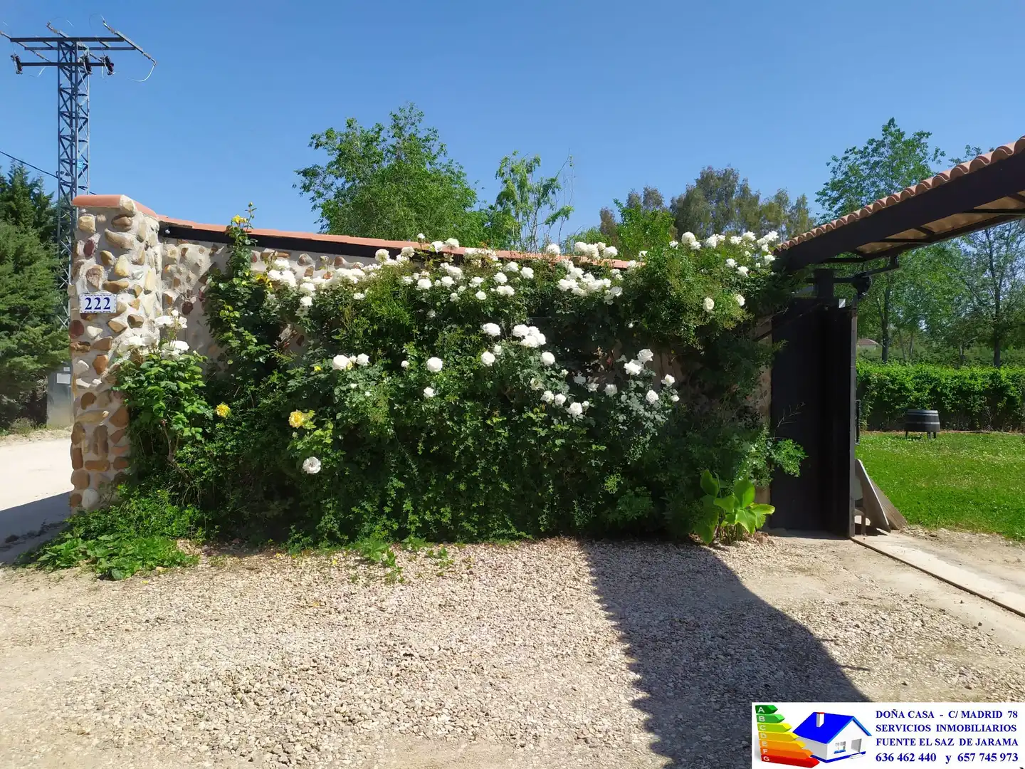 Jardín de Casa o chalet en venta en Fuente El Saz de Jarama con Aire acondicionado, Calefacción y Jardín privado