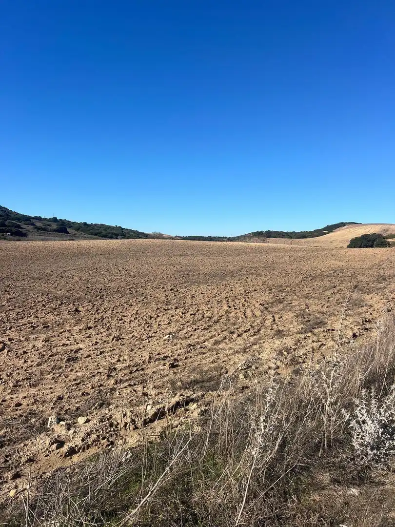 Terreny rústic en venda a Medina Sidonia, imagen 2