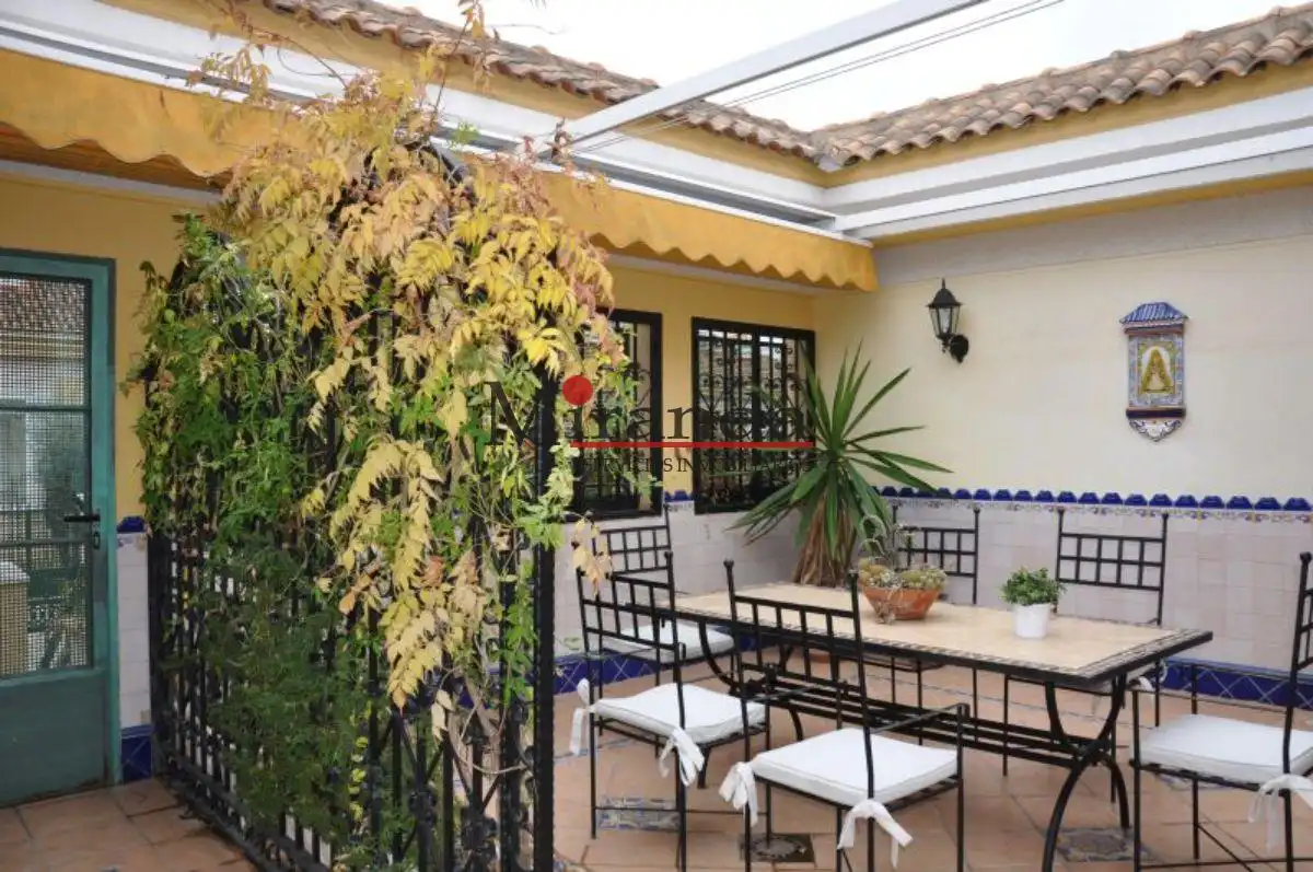 Houses for rent in Centro