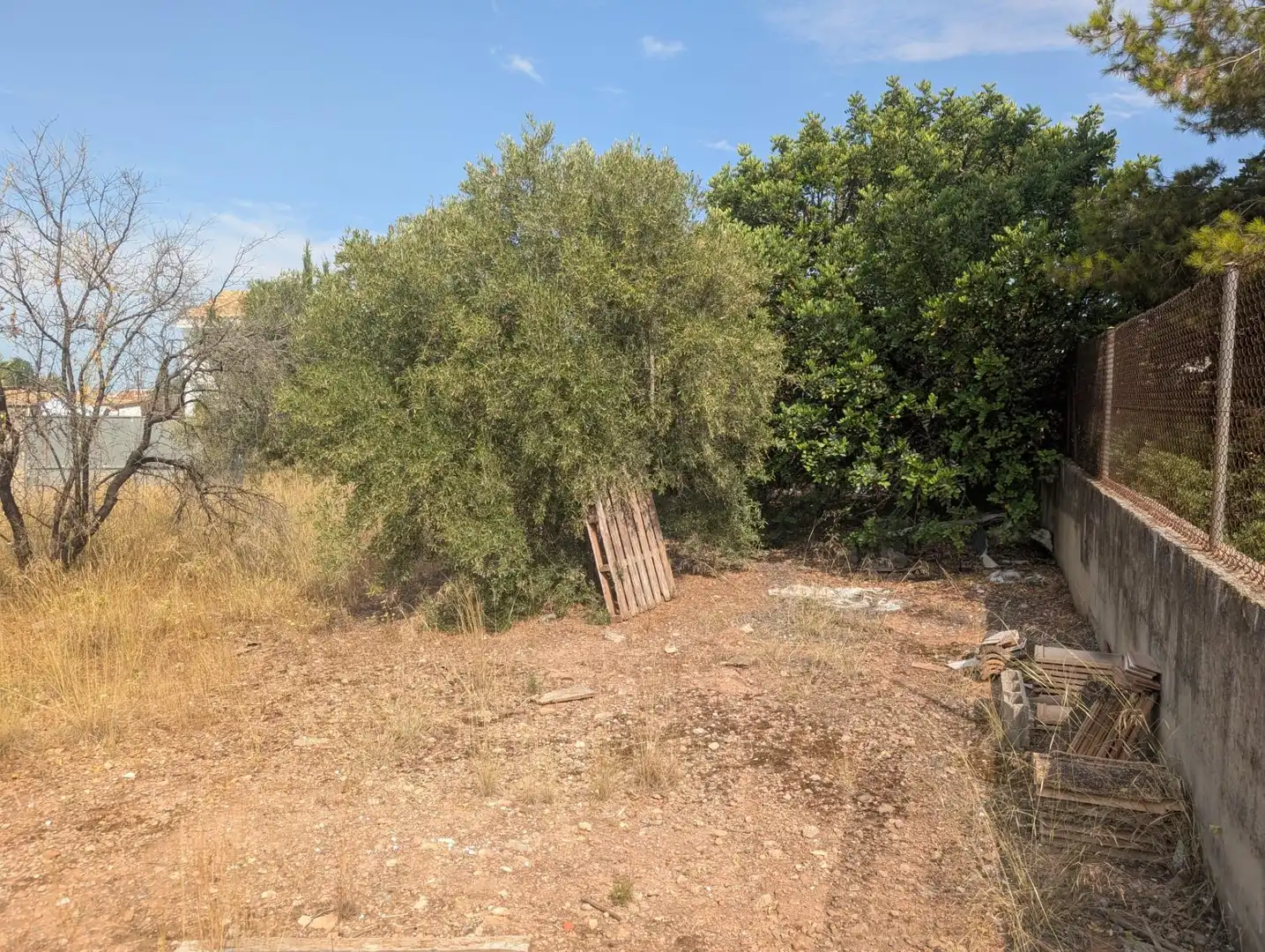 Residential land for sale in La Conarda - Montesano, imagen 16