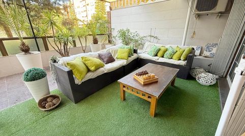 Foto 5 de Planta baja en venta en Camino Pato del, Puerta Blanca, Málaga Capital