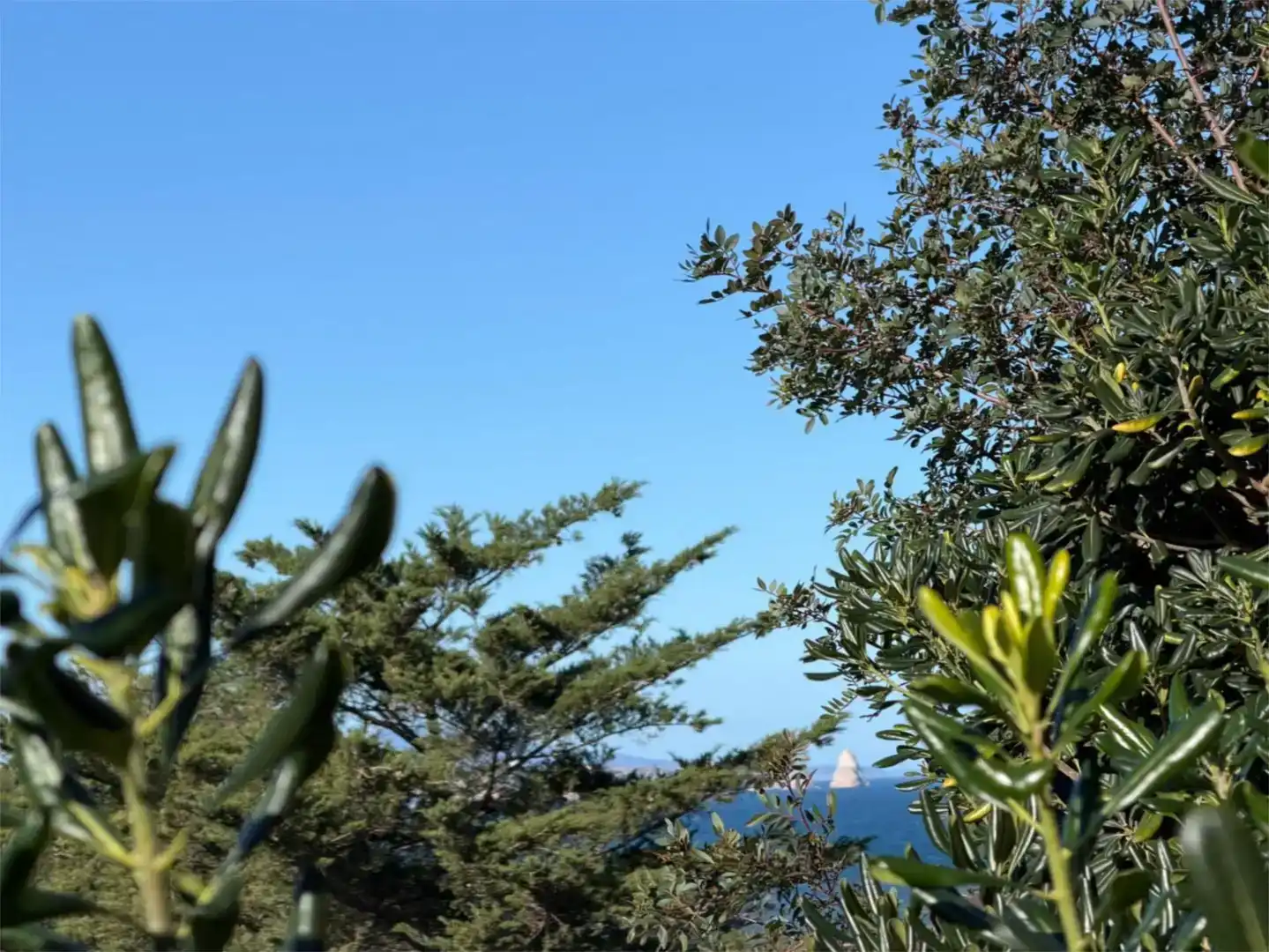 Garten von Wohnung zur Miete in Begur mit Klimaanlage und Schwimmbad