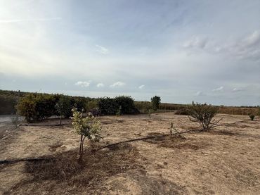 Terreny rústic en venda a Pedanías Norte