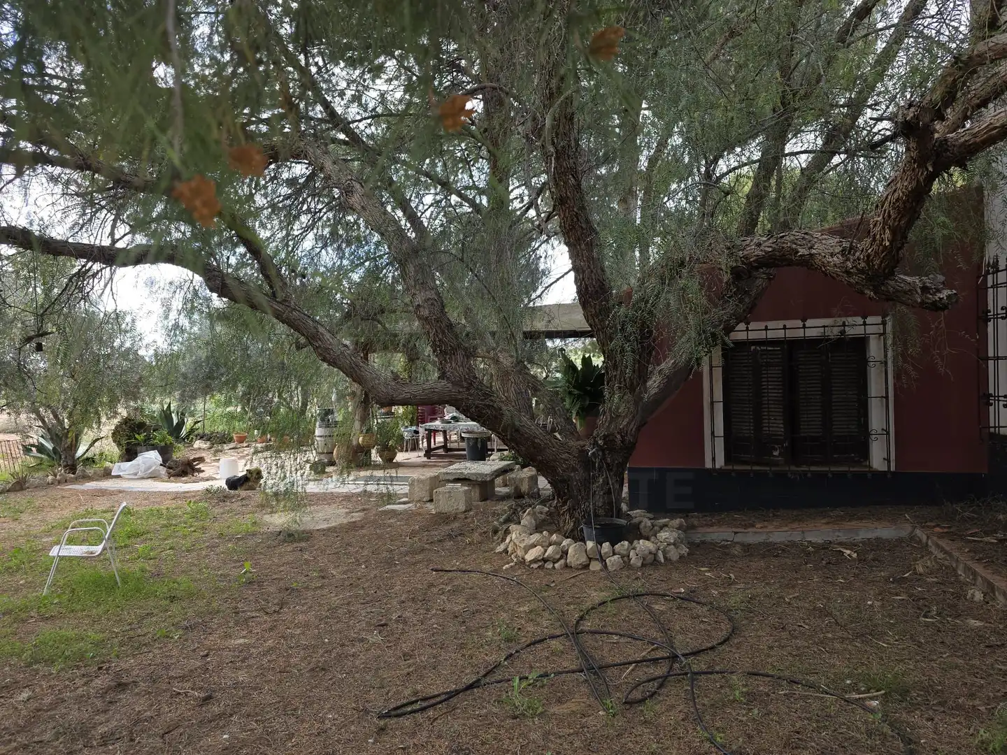 Casa amb piscina en venda a Jumilla, imagen 22
