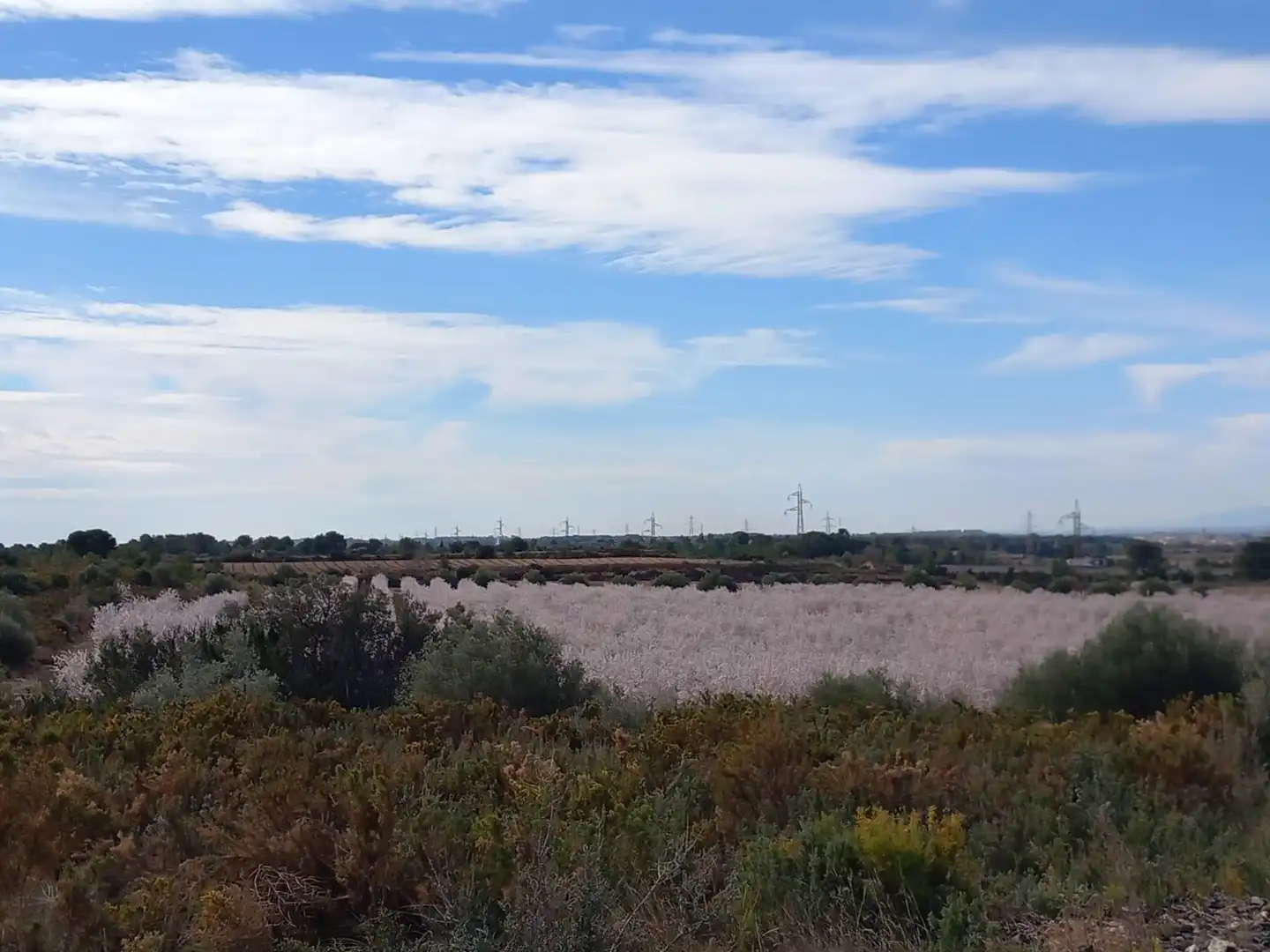 Terreno en venta en Vila-rodona