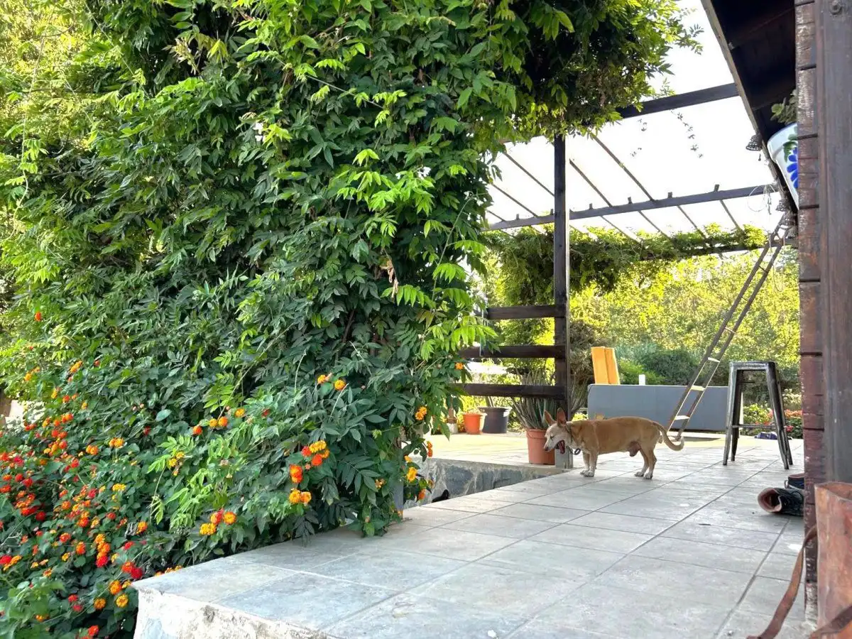 Jardí de Finca rústica en venda en San Martín del Tesorillo amb Terrassa