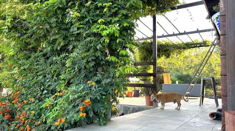 Photo 4 of Country homes for sale in San Martín del Tesorillo, Cádiz