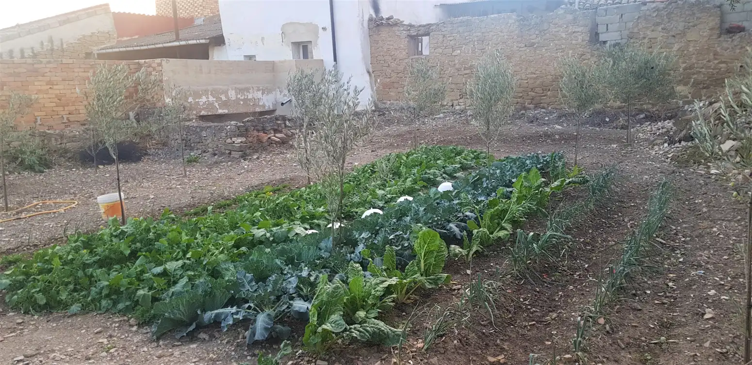 Garden of Land for sale in Larraga