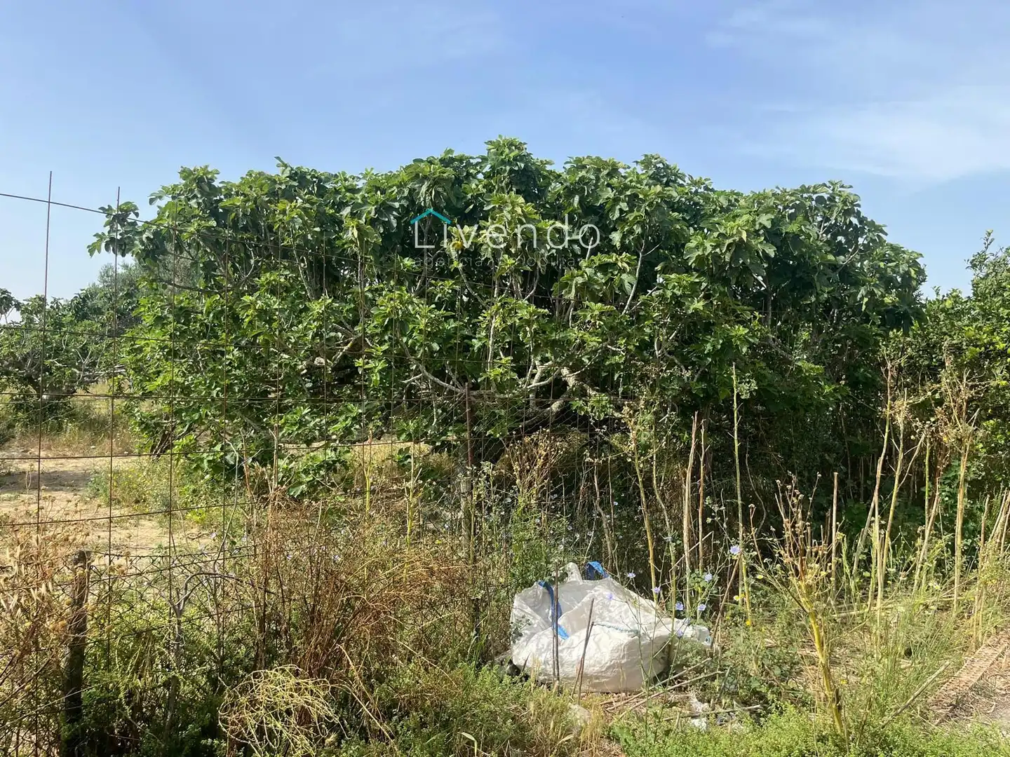 Chalet en venta en Pelagatos - Pago del Humo, imagen 14
