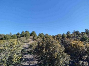 Terrain rustique à vendre à La Mata
