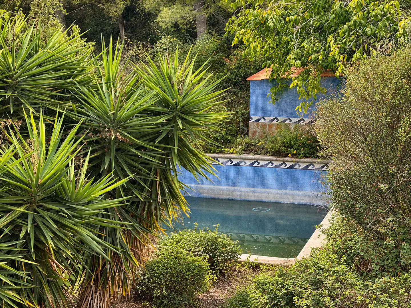 Piscina de Casa o chalet en venta en Costa Cunit - Els Jardins - Els Rosers