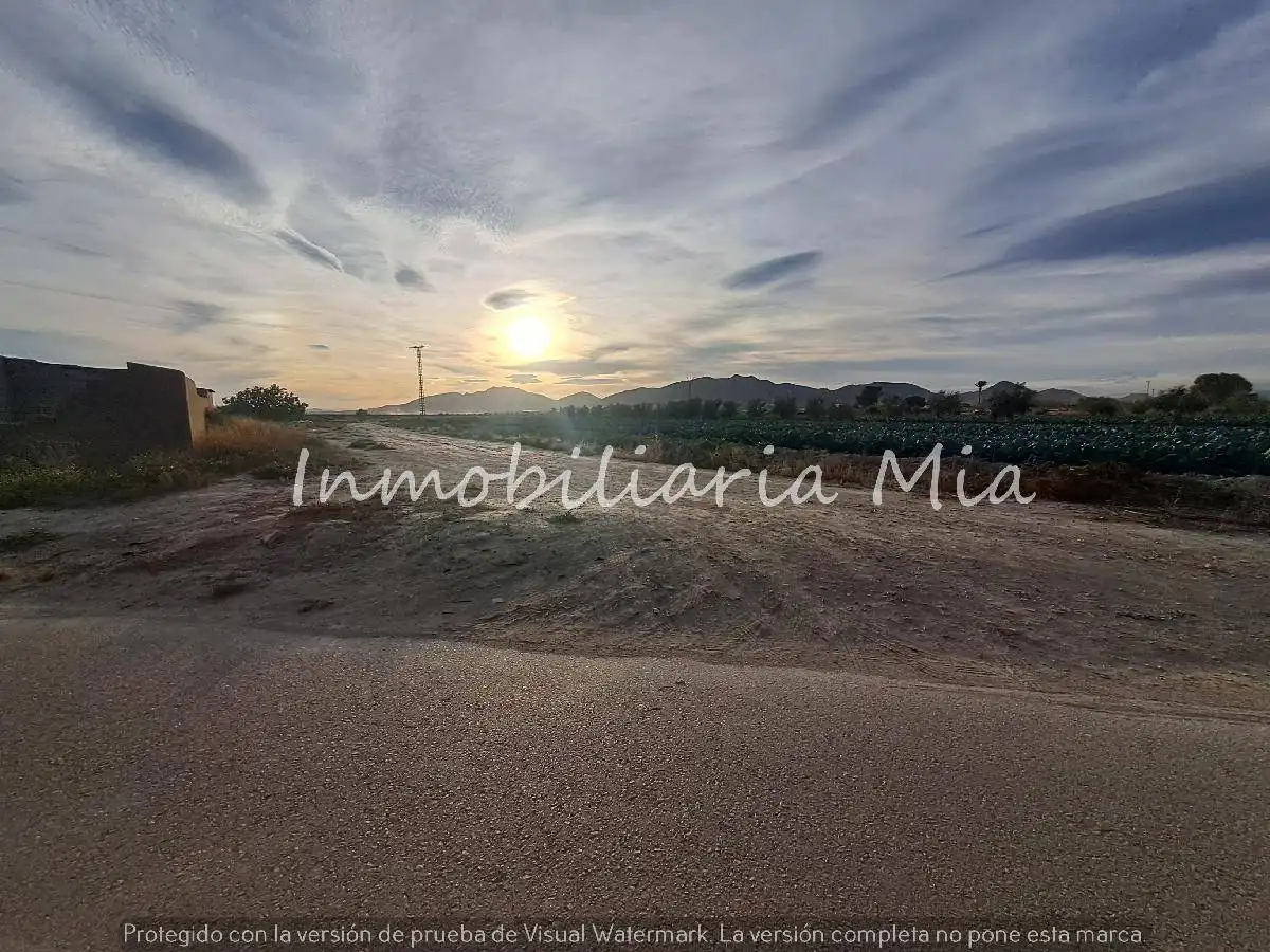 Houses for sale in Almendricos
