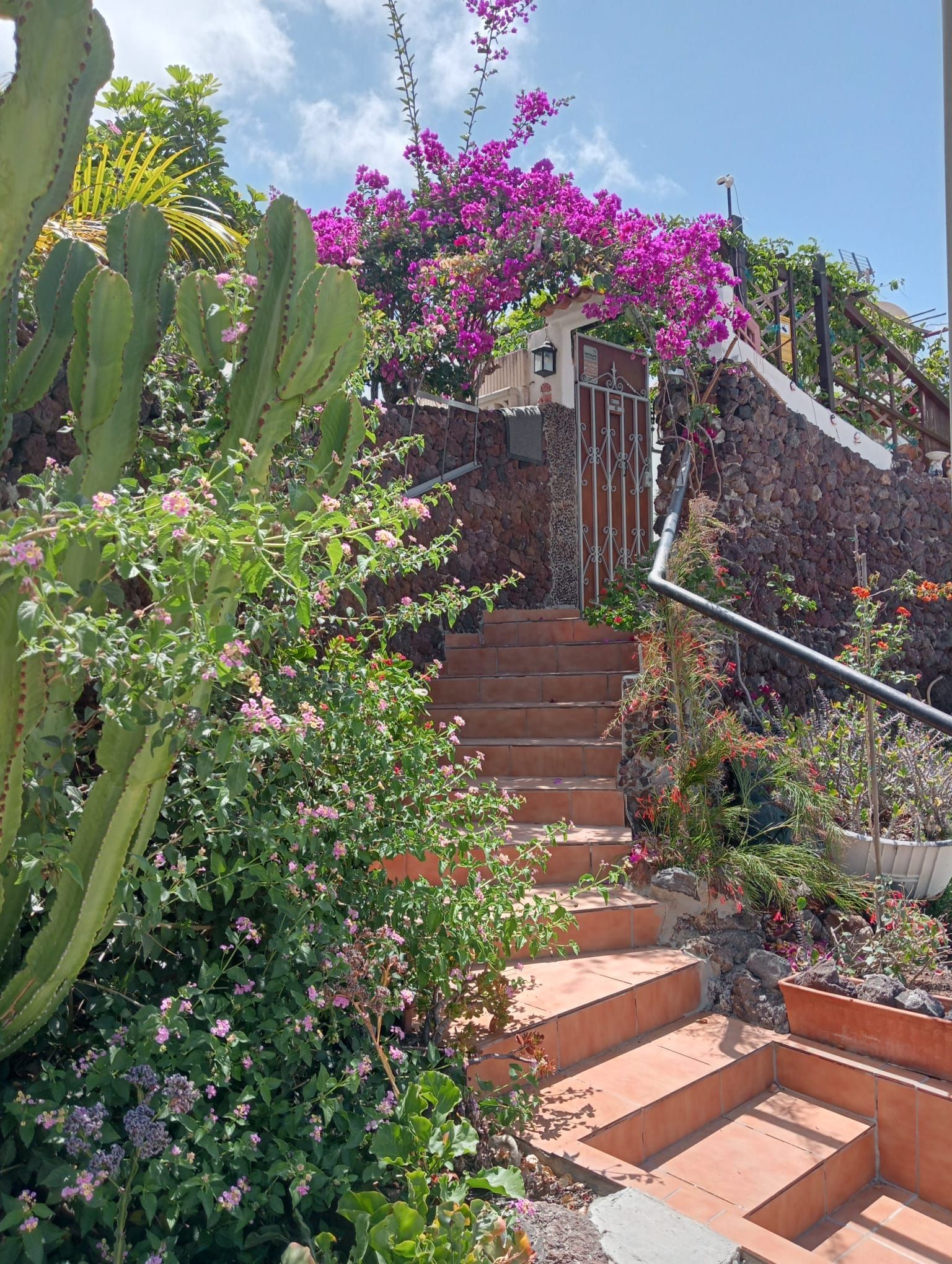 Casa o chalet en venta en Calle el Drago, 17, Playa Fañabé Alto, Costa Adeje, Adeje