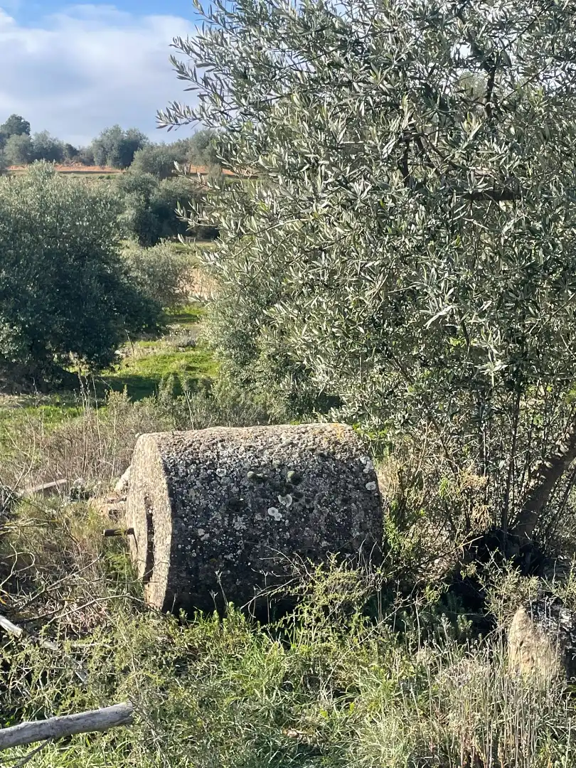 Rural land for sale in Cervià de Les Garrigues, imagen 13