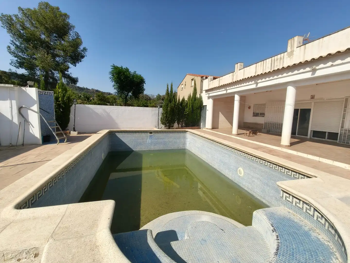 Piscina de Casa o chalet en venta en Montroi / Montroy con Jardín privado, Terraza y Trastero