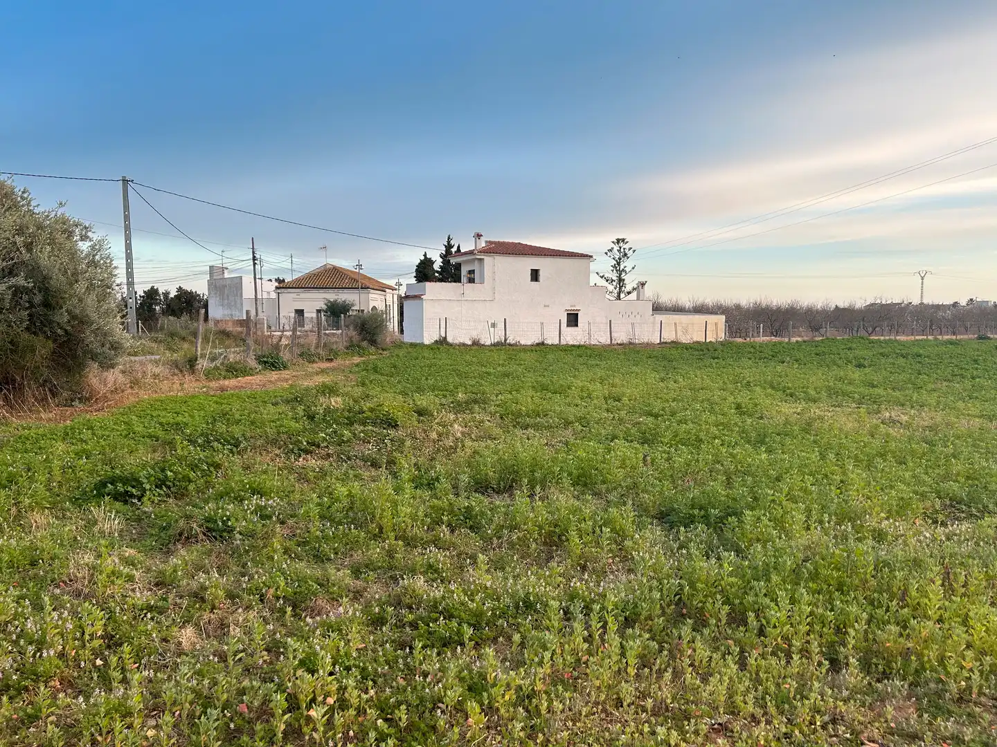 Houses for sale in Alcalà de Xivert