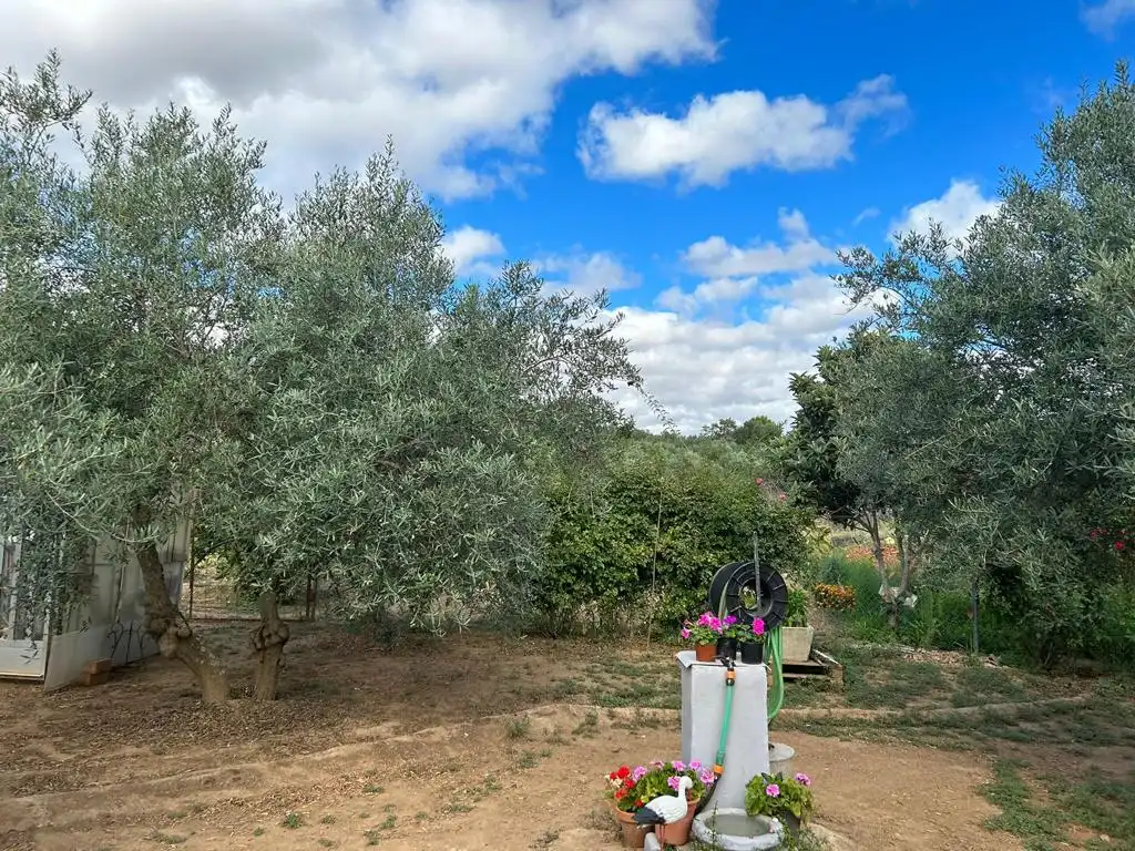Garden of Houses for sale in Logrosán  with Private garden, Terrace and Swimming Pool
