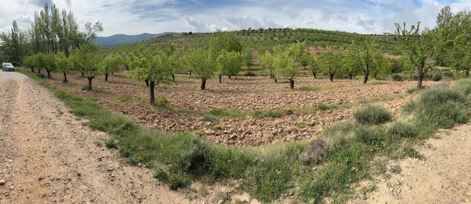 Land for sale in Bergasa