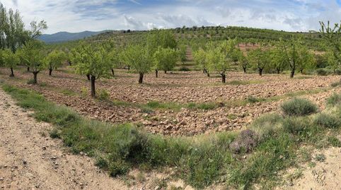 Foto 5 de Terreno en venta en Bergasa, La Rioja