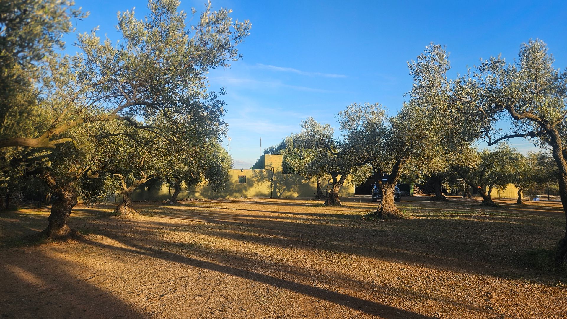 Vista exterior de Finca rústica en venta en Canet lo Roig con Jardín privado, Amueblado y Alarma