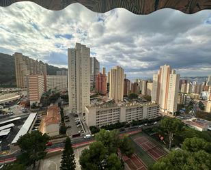 Vista exterior de Estudi en venda en Benidorm amb Aire condicionat, Calefacció i Jardí privat