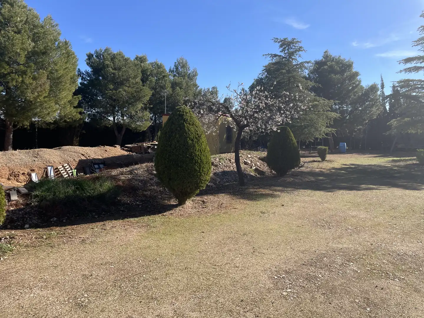 Chalet con jardín en venta en Argamasilla de Alba, imagen 2