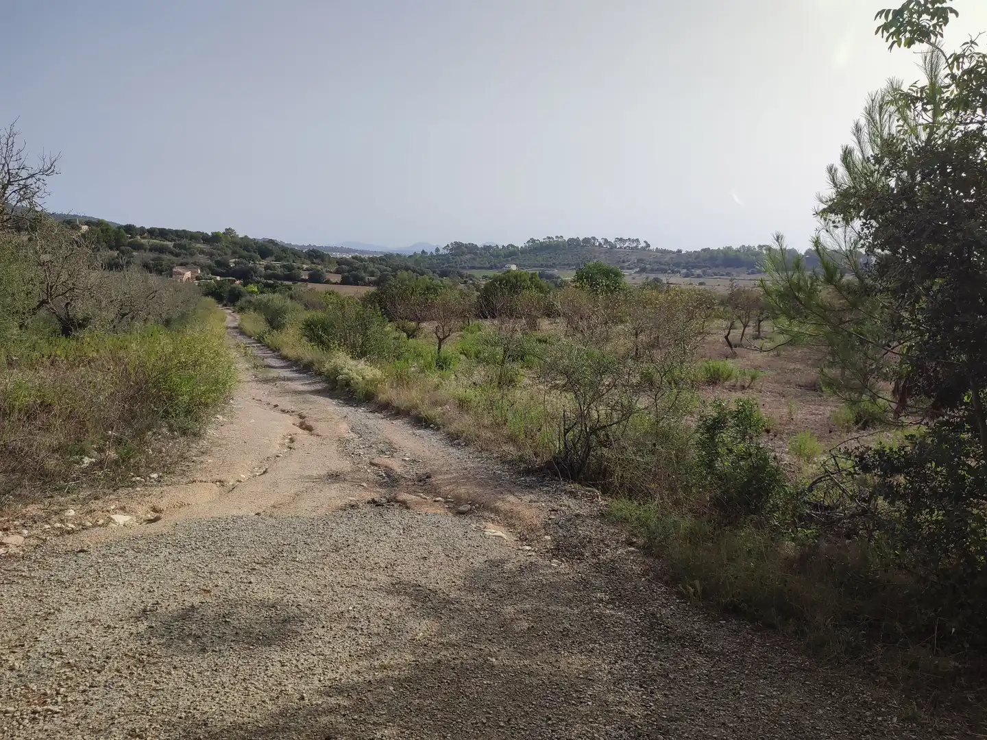 Terreny residencial en venda a Sant Joan, imagen 22
