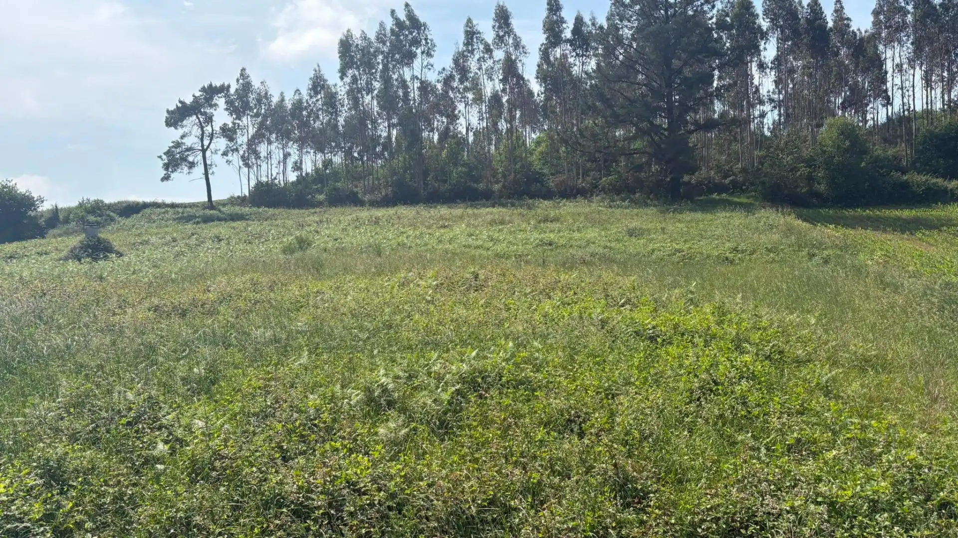 Residencial en venta en Trazo
