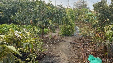 Photo 5 of Land for sale in Urbanizacion Nuevo Almayate I, Almayate, Vélez-Málaga