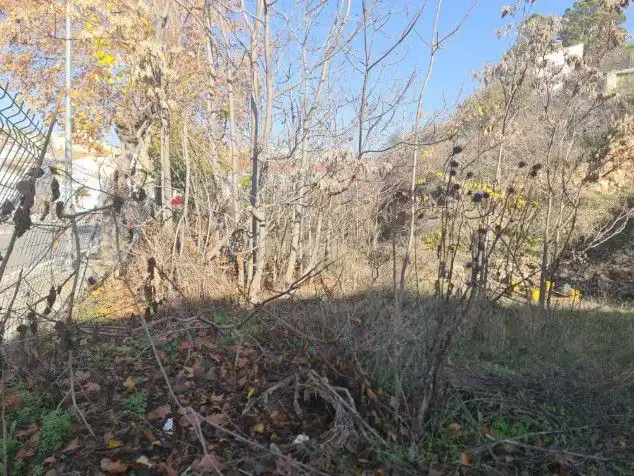 Lands and plots for sale in JOSE ANTONIO, imagen 18