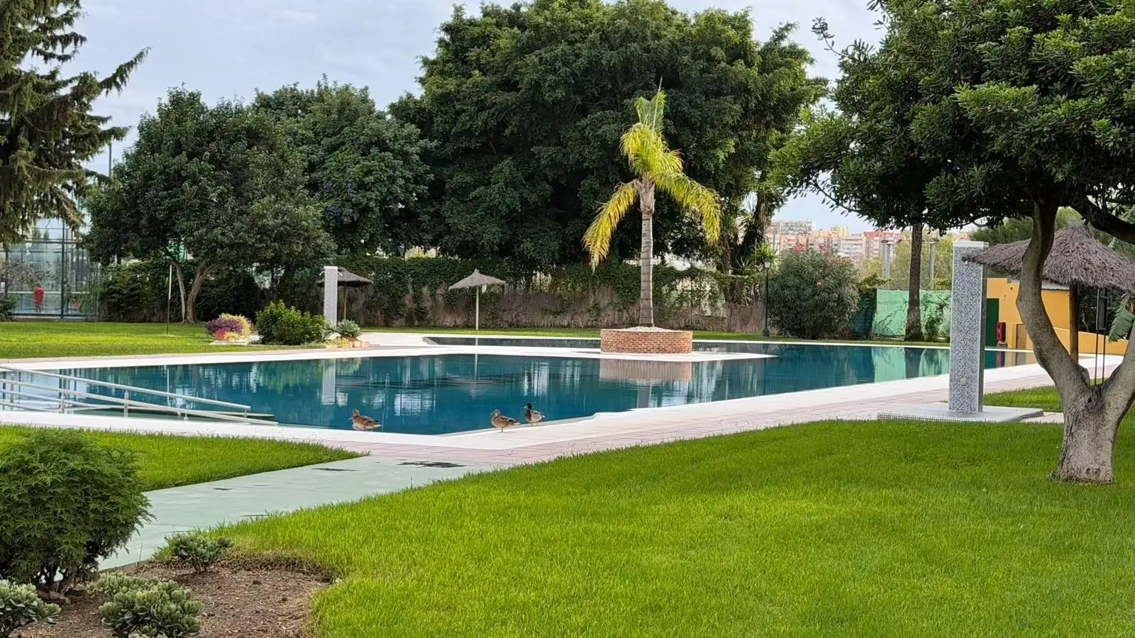 Monolocale con piscina in vendita a Calle Calle Colina 10