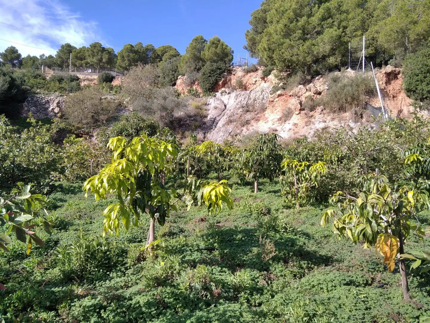 Terreni e lotti in vendita a PHPX+WF Gualchos, Spain, imagen 8