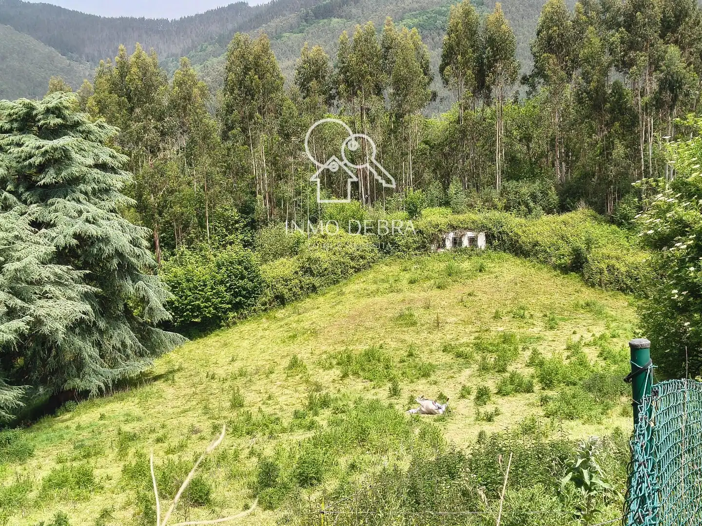 Casa o chalet en venta en Salas con Calefacción y Terraza