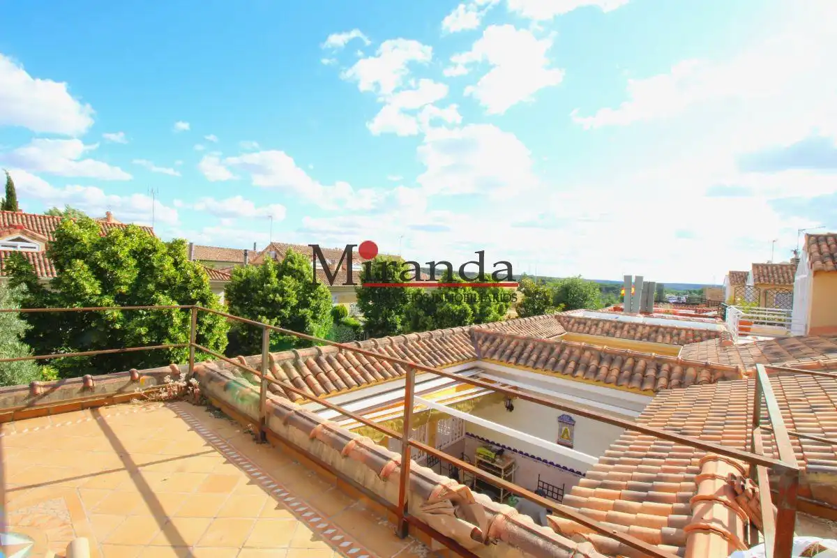 Houses for rent in Centro