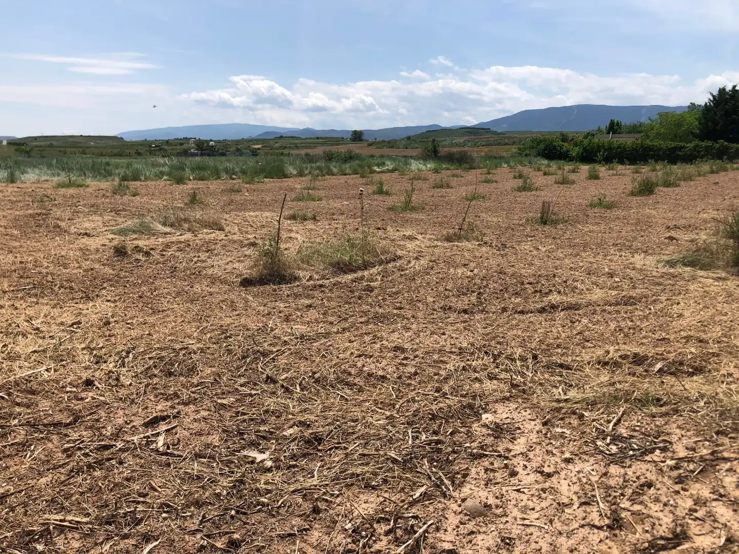 Terreny rústic en venda a Murillo de Río Leza, imagen 8
