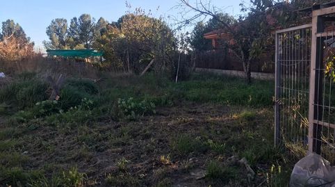 TERRENO URBANO EN ALMOSTER, immagine 5