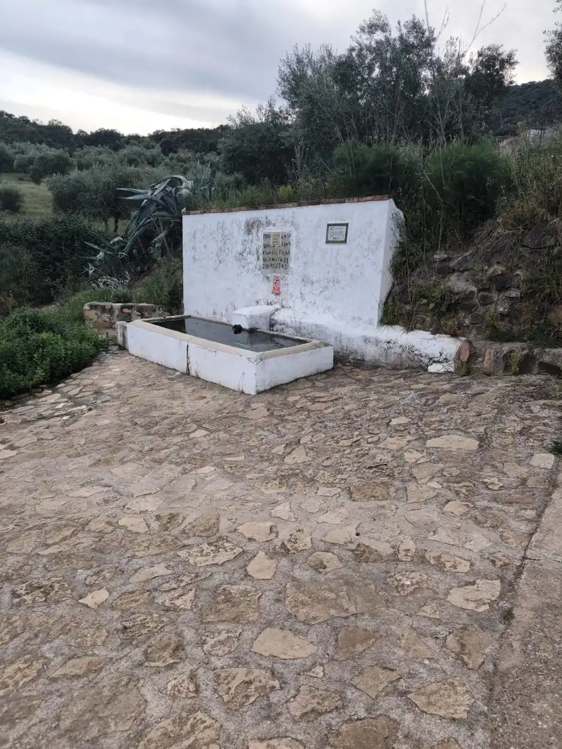 Houses for sale in Fuente Obejuna  with Swimming Pool