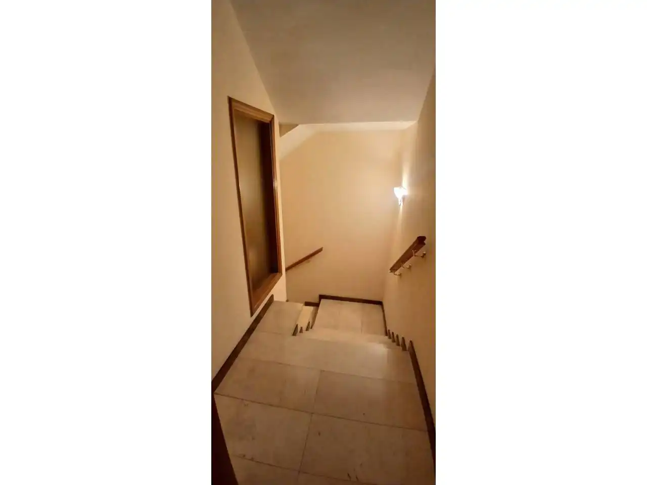 Houses for sale in Avenida Abad Marcet, Zona Esportiva