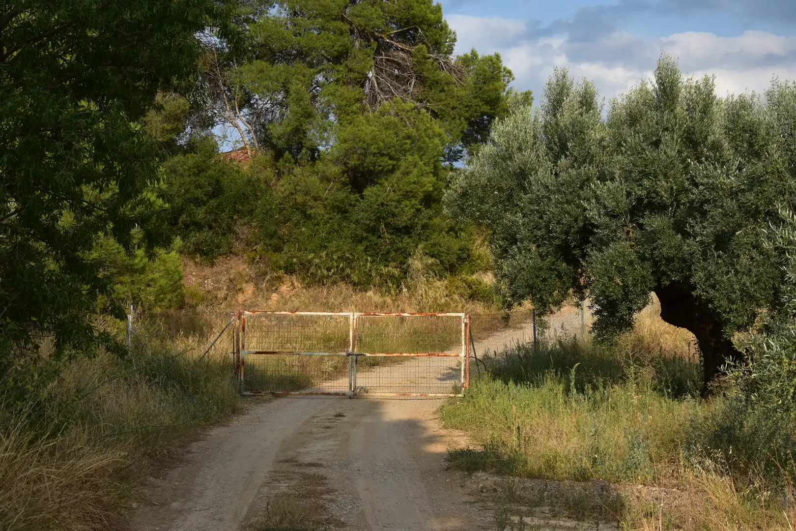 Terreni e lotti in vendita a Valderrobres, imagen 6